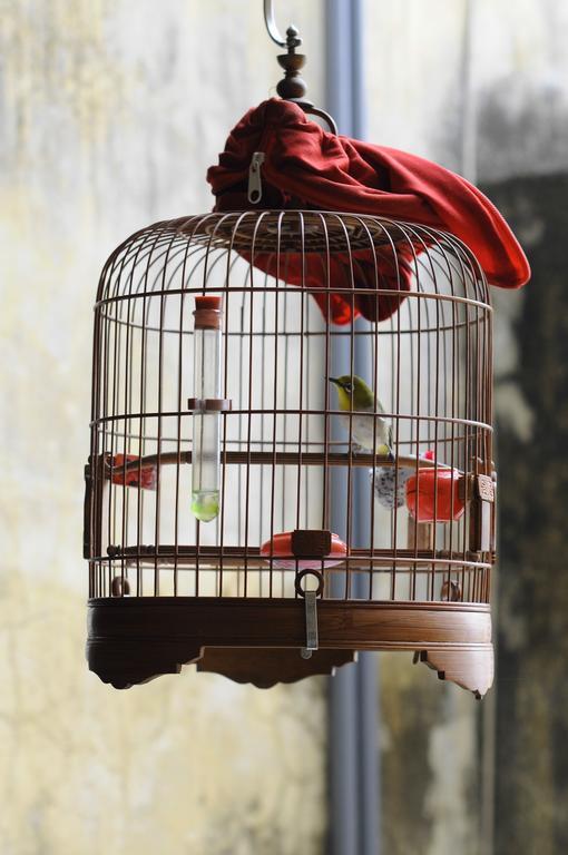 Tuti Tong Dan Homestay Ανόι Εξωτερικό φωτογραφία